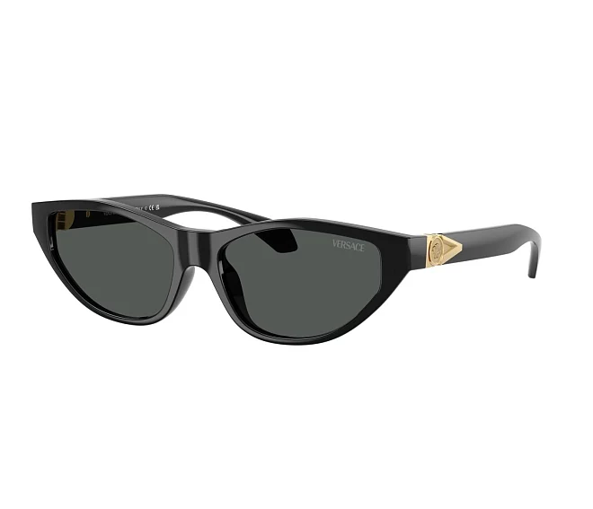 Versace Sonnenbrillen VE4491U GB1/87 55 16 schwarz