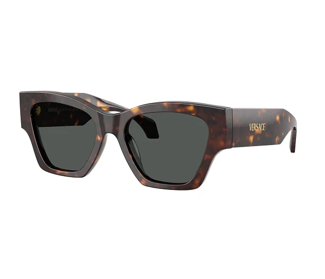 Versace Sonnenbrillen VE4492U 108/87 53 18 braun