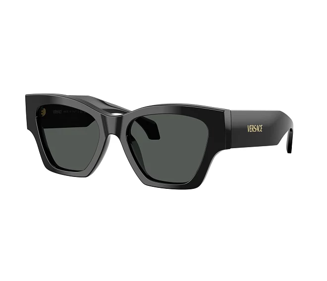 Versace Sonnenbrillen VE4492U GB1/87 53 18 schwarz
