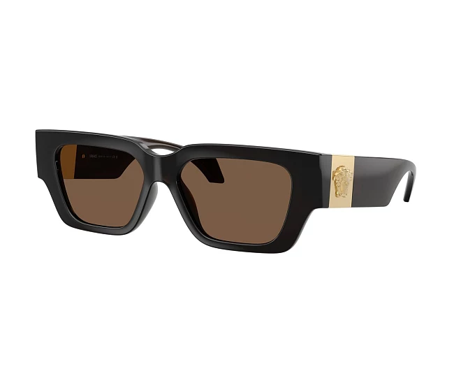 Versace Sonnenbrillen VE4497U 554373 53 15 braun