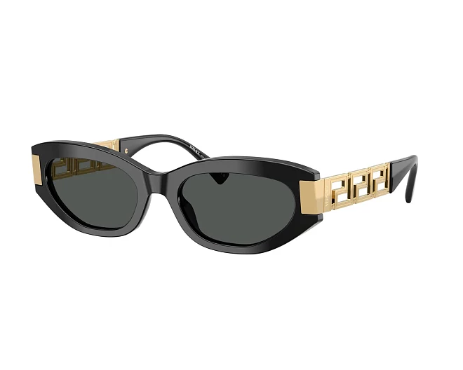 Versace Sonnenbrillen VE4501 GB1/87 54 19 schwarz