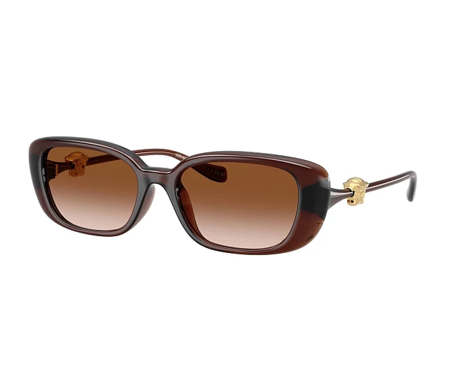 Versace Sonnenbrillen VE4504D 533213 56 18 braun