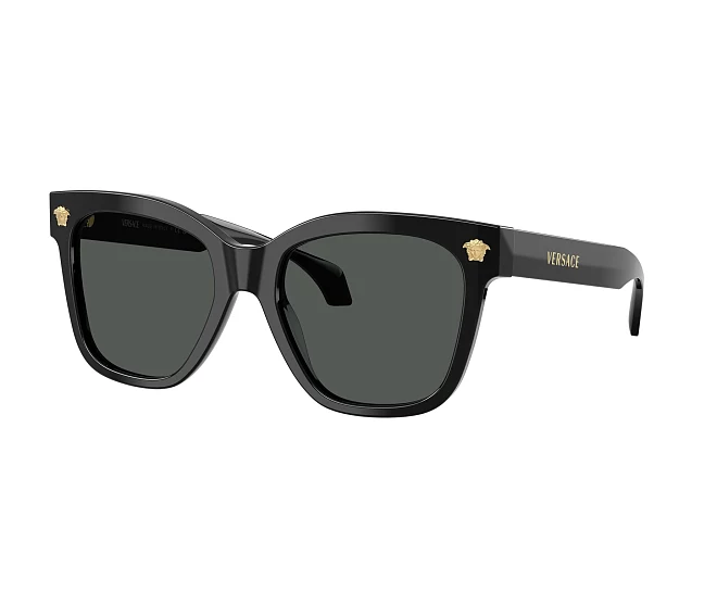 Versace Sonnenbrillen VE4511 GB1/87 55 19 schwarz