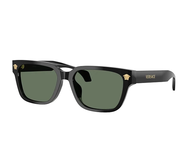 Versace Sonnenbrillen VE4513D GB1/82 56 17 schwarz