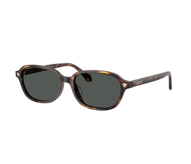 Versace Sonnenbrillen VE4514D 553773 53 17 havana