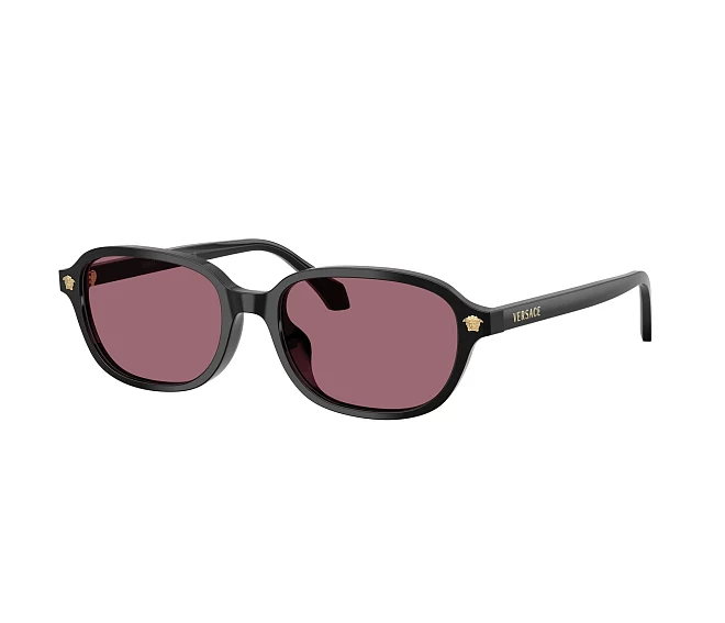 Versace Sonnenbrillen VE4514D GB1/1A 53 17 schwarz