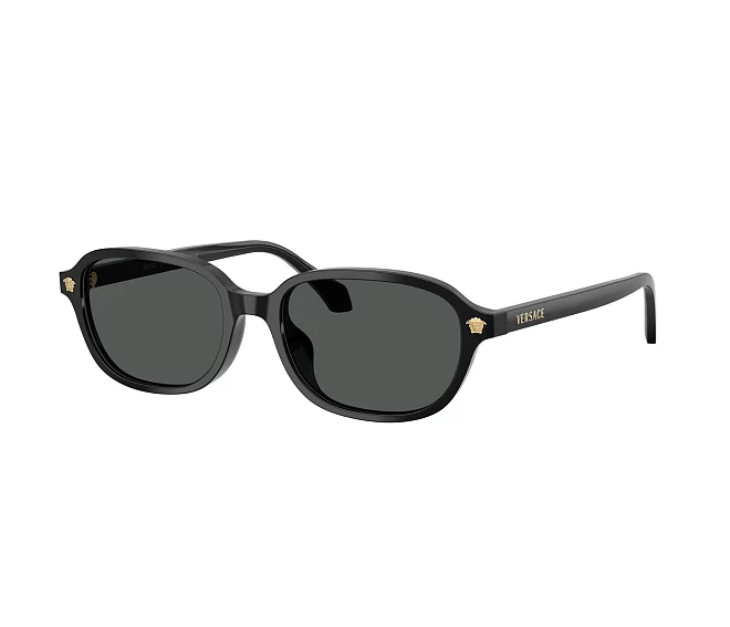 Versace Sonnenbrillen VE4514D GB1/87 53 17 schwarz