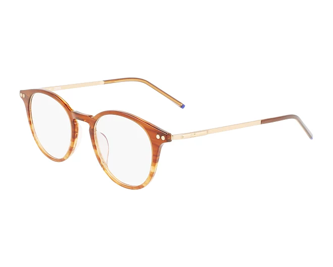 Zeiss Brille ZS22700 244 48 20 horn
