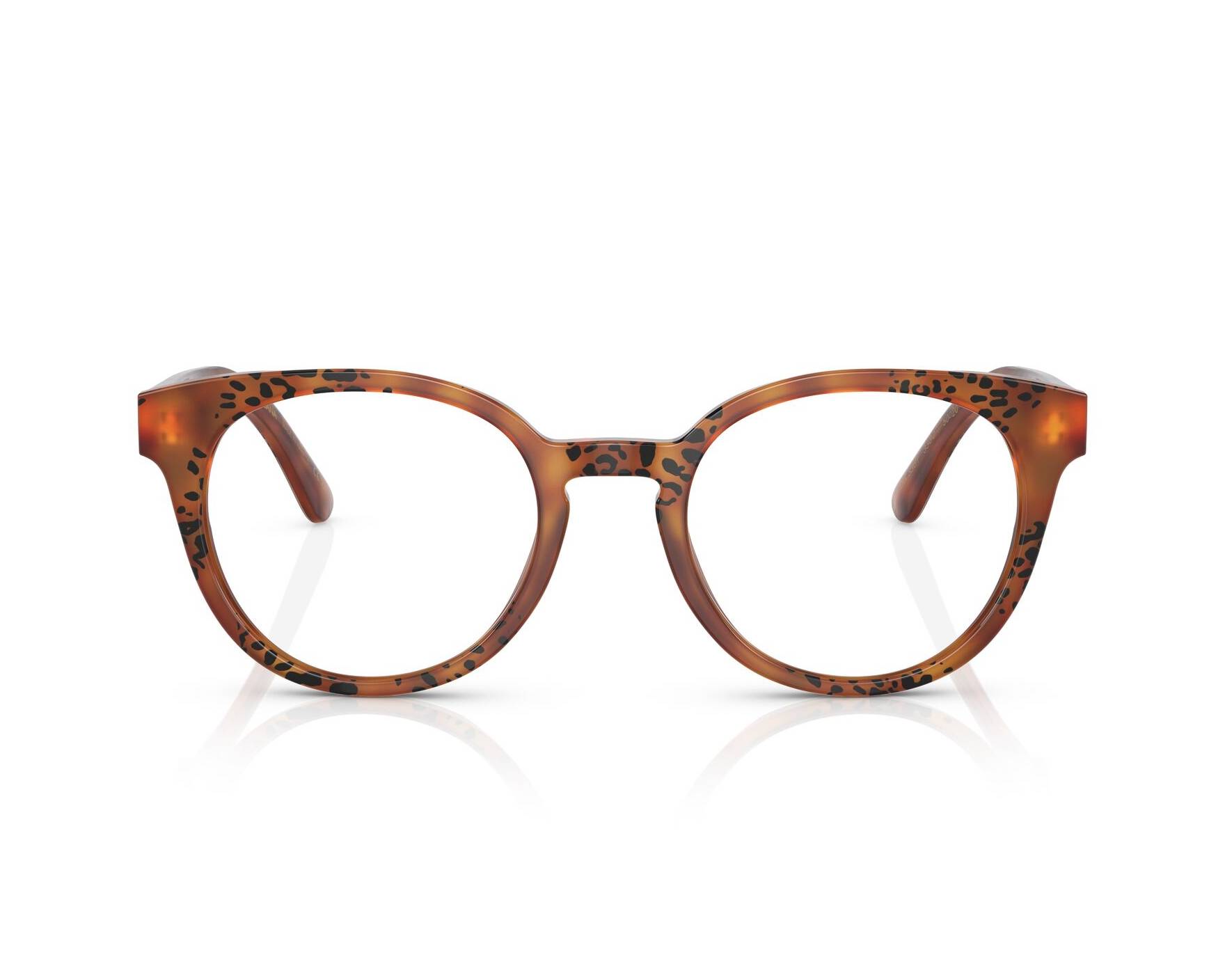 Dolce & Gabbana DG3361 3380 - Brown  360-Grad-Ansicht 5