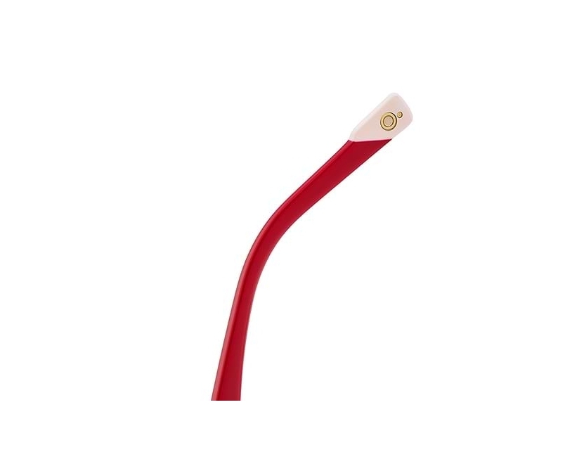 Etnia Barcelona VESTA RDBL 51-17 Rouge  Profilansicht