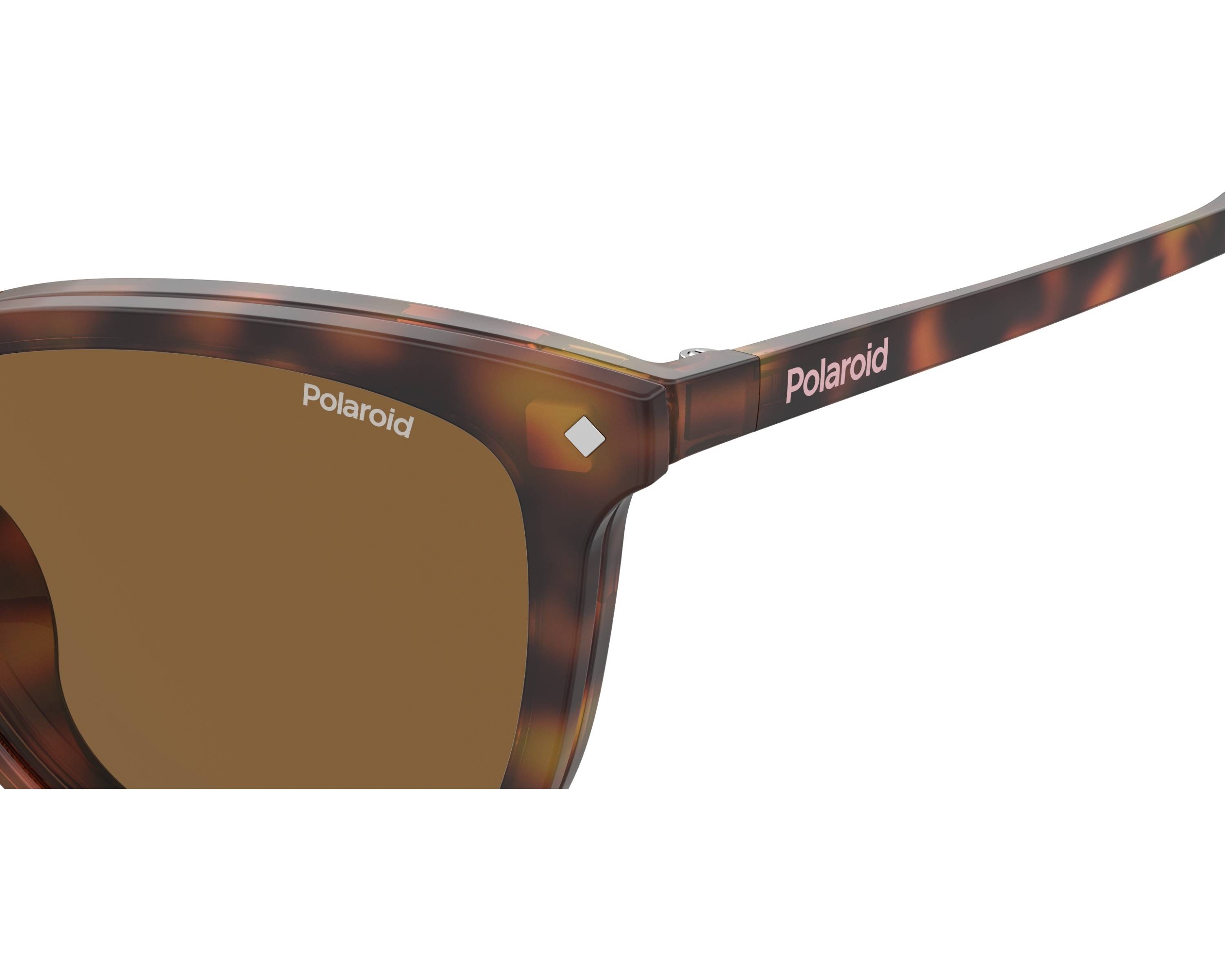 Polaroid PLD-6138-CS 086/SP 53-16 havana  360-Grad-Ansicht 5