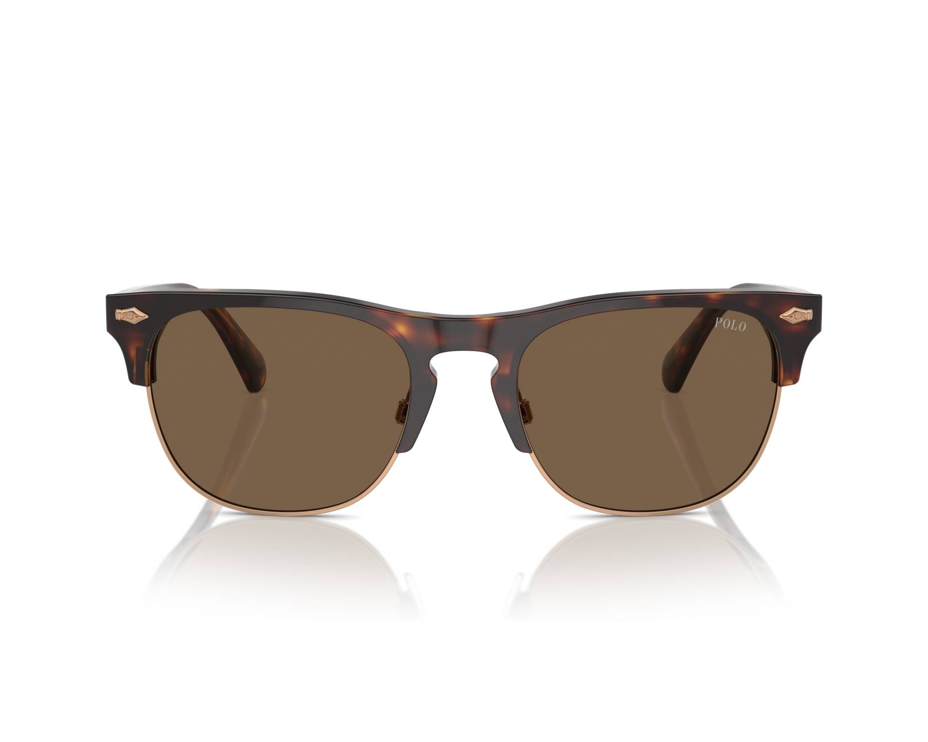 Polo Ralph Lauren PH4213 613773 54-20 havana  360-Grad-Ansicht 3