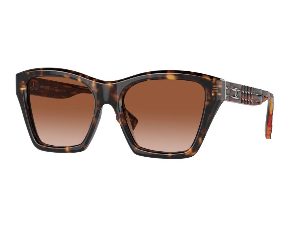 Burberry Arden BE4391 300213 