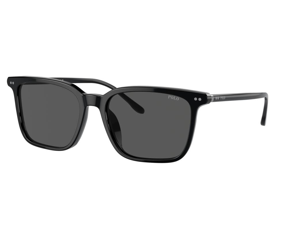 Polo Ralph Lauren PH4194U 500187