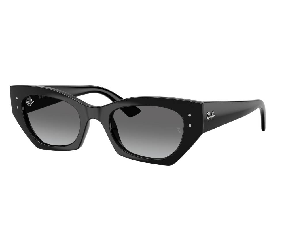 Ray-Ban Ray-Ban RB4430 667711 52-22 schwarz  360-Grad-Ansicht 1