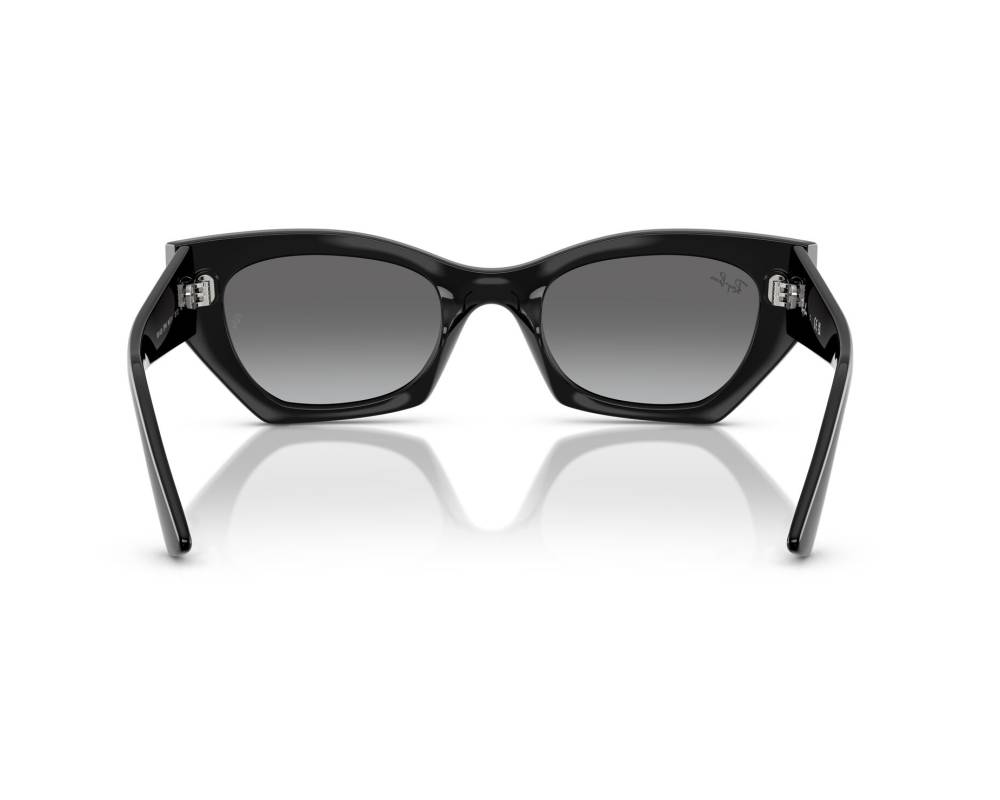 Ray-Ban Ray-Ban RB4430 667711 52-22 schwarz  360-Grad-Ansicht 2