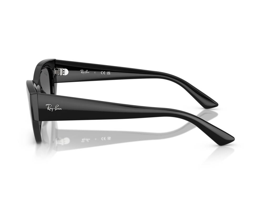 Ray-Ban Ray-Ban RB4430 667711 52-22 schwarz  360-Grad-Ansicht 5